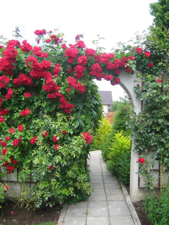 Bellavilla VNO Kültér fotó